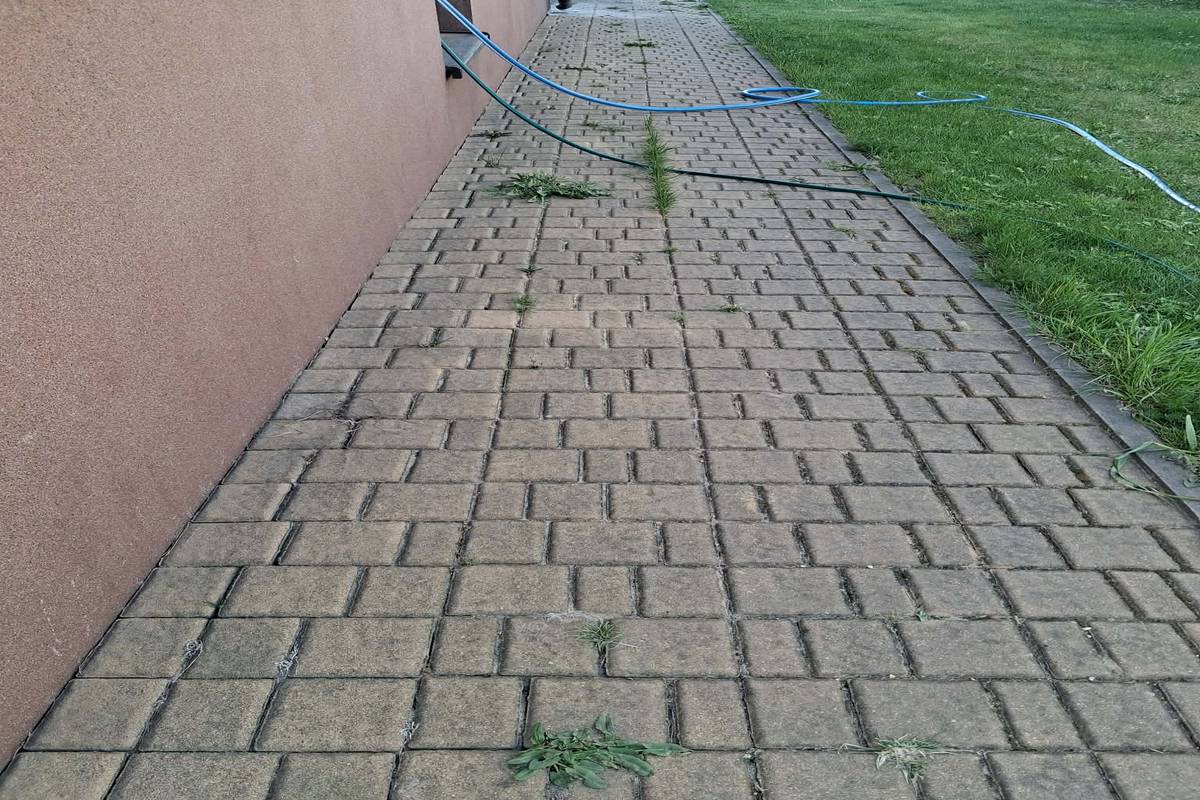 Przed